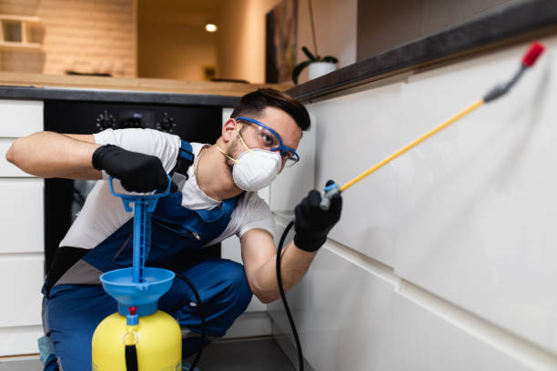 Best Commercial Pest Control Services  in Bling, AR