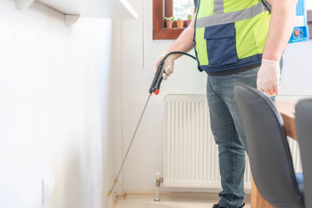 Best Flea Control Services  in Bling, AR